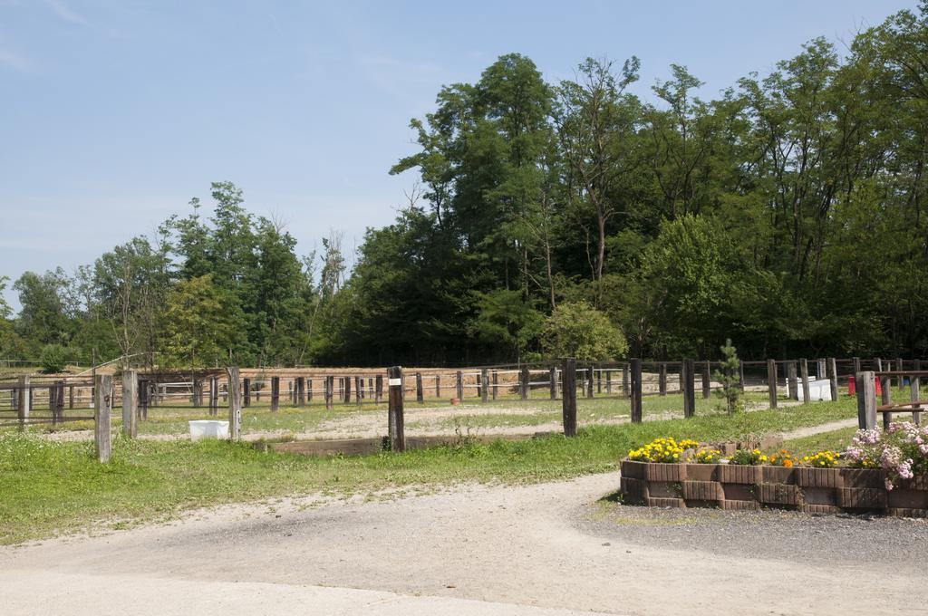 Agriturismo Jesson Rosamund Cantù Kültér fotó