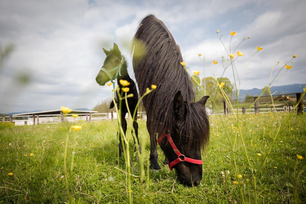Agriturismo Jesson Rosamund Cantù Kültér fotó
