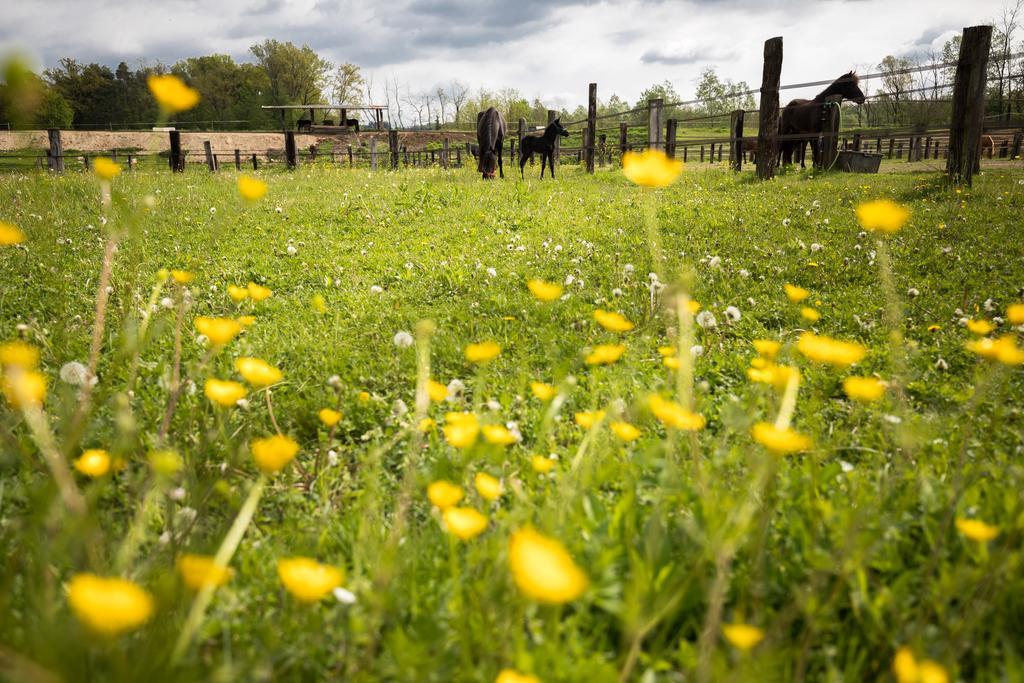 Agriturismo Jesson Rosamund Cantù Kültér fotó